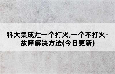 科大集成灶一个打火,一个不打火-故障解决方法(今日更新)