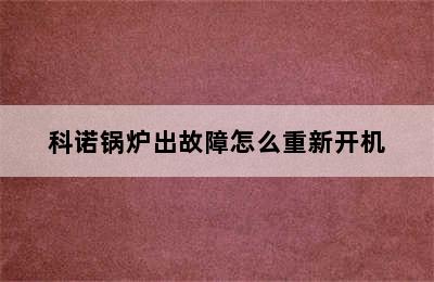 科诺锅炉出故障怎么重新开机