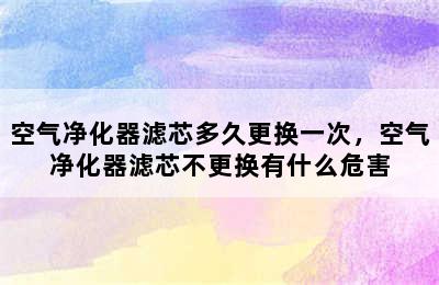 空气净化器滤芯多久更换一次，空气净化器滤芯不更换有什么危害