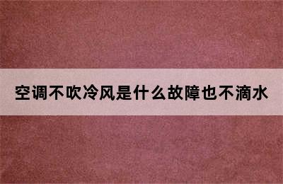 空调不吹冷风是什么故障也不滴水