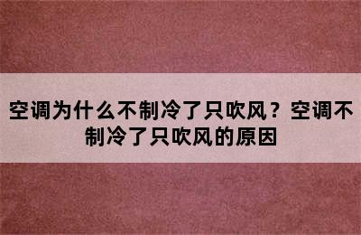 空调为什么不制冷了只吹风？空调不制冷了只吹风的原因