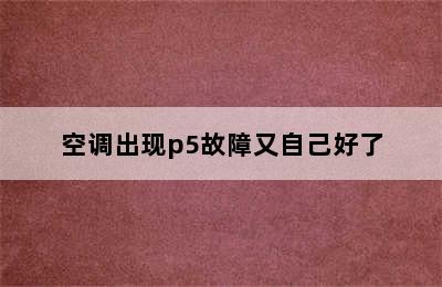 空调出现p5故障又自己好了