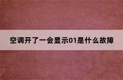 空调开了一会显示01是什么故障