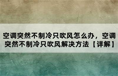 空调突然不制冷只吹风怎么办，空调突然不制冷只吹风解决方法【详解】