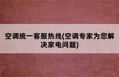 空调统一客服热线(空调专家为您解决家电问题)