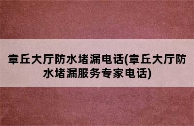 章丘大厅防水堵漏电话(章丘大厅防水堵漏服务专家电话)