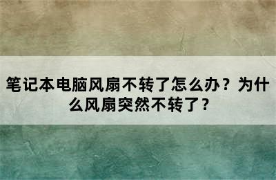 笔记本电脑风扇不转了怎么办？为什么风扇突然不转了？