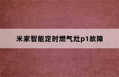 米家智能定时燃气灶p1故障