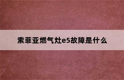 索菲亚燃气灶e5故障是什么