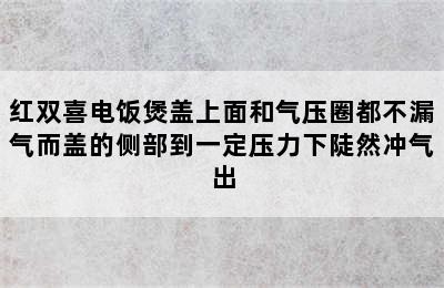 红双喜电饭煲盖上面和气压圈都不漏气而盖的侧部到一定压力下陡然冲气出