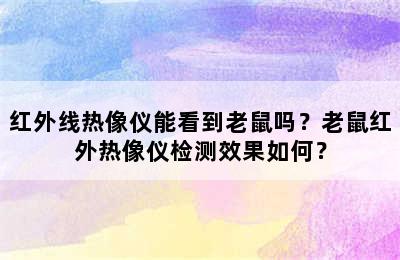 红外线热像仪能看到老鼠吗？老鼠红外热像仪检测效果如何？