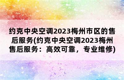 约克中央空调2023梅州市区的售后服务(约克中央空调2023梅州售后服务：高效可靠，专业维修)