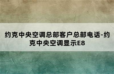 约克中央空调总部客户总部电话-约克中央空调显示E8