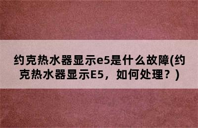 约克热水器显示e5是什么故障(约克热水器显示E5，如何处理？)