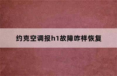 约克空调报h1故障咋样恢复