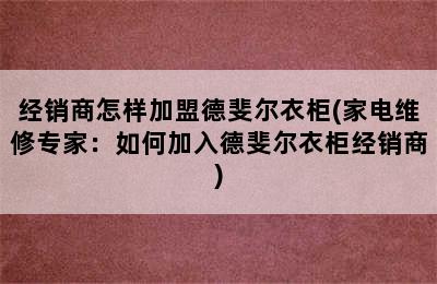 经销商怎样加盟德斐尔衣柜(家电维修专家：如何加入德斐尔衣柜经销商)