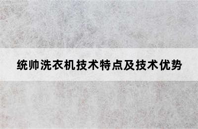 统帅洗衣机技术特点及技术优势