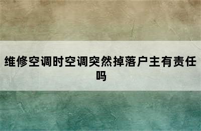 维修空调时空调突然掉落户主有责任吗