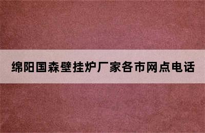 绵阳国森壁挂炉厂家各市网点电话