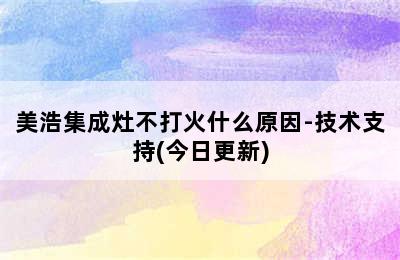 美浩集成灶不打火什么原因-技术支持(今日更新)