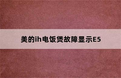 美的ih电饭煲故障显示E5