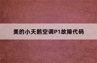 美的小天鹅空调P1故障代码