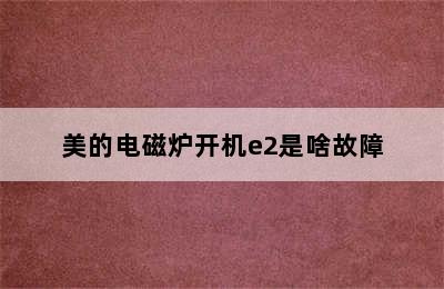 美的电磁炉开机e2是啥故障