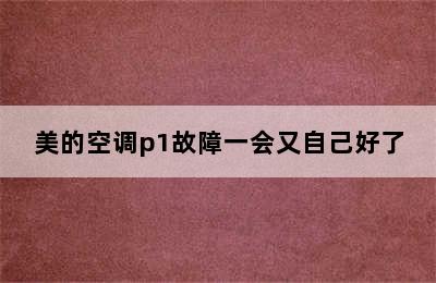 美的空调p1故障一会又自己好了