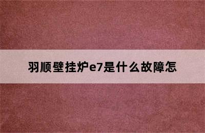 羽顺壁挂炉e7是什么故障怎