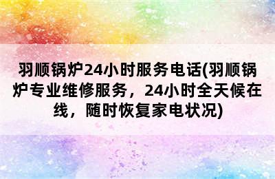 羽顺锅炉24小时服务电话(羽顺锅炉专业维修服务，24小时全天候在线，随时恢复家电状况)