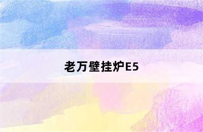 老万壁挂炉E5