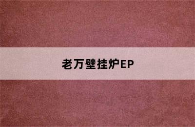 老万壁挂炉EP