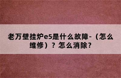 老万壁挂炉e5是什么故障-（怎么维修）？怎么消除？