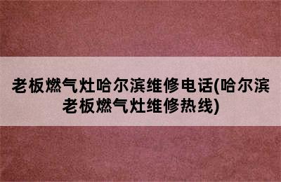 老板燃气灶哈尔滨维修电话(哈尔滨老板燃气灶维修热线)