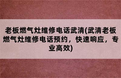 老板燃气灶维修电话武清(武清老板燃气灶维修电话预约，快速响应，专业高效)