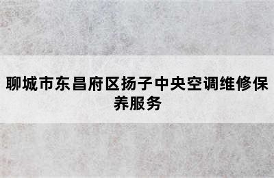 聊城市东昌府区扬子中央空调维修保养服务