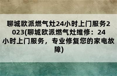 聊城欧派燃气灶24小时上门服务2023(聊城欧派燃气灶维修：24小时上门服务，专业修复您的家电故障)