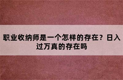 职业收纳师是一个怎样的存在？日入过万真的存在吗