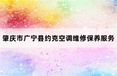 肇庆市广宁县约克空调维修保养服务