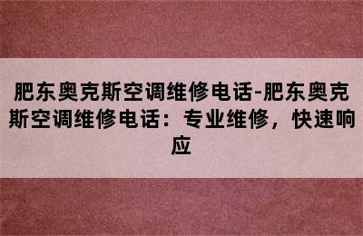 肥东奥克斯空调维修电话-肥东奥克斯空调维修电话：专业维修，快速响应