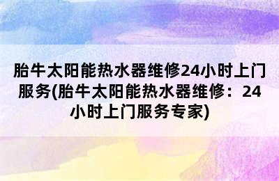 胎牛太阳能热水器维修24小时上门服务(胎牛太阳能热水器维修：24小时上门服务专家)