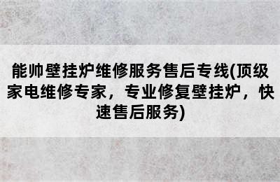 能帅壁挂炉维修服务售后专线(顶级家电维修专家，专业修复壁挂炉，快速售后服务)