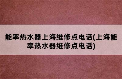 能率热水器上海维修点电话(上海能率热水器维修点电话)