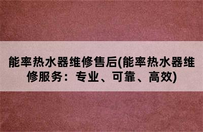 能率热水器维修售后(能率热水器维修服务：专业、可靠、高效)