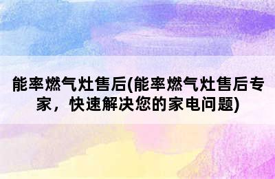 能率燃气灶售后(能率燃气灶售后专家，快速解决您的家电问题)