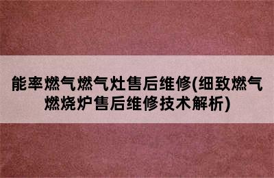 能率燃气燃气灶售后维修(细致燃气燃烧炉售后维修技术解析)