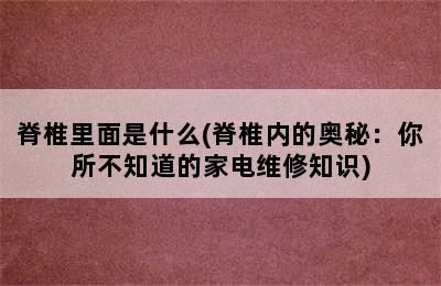 脊椎里面是什么(脊椎内的奥秘：你所不知道的家电维修知识)