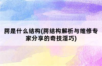 腭是什么结构(腭结构解析与维修专家分享的奇技淫巧)