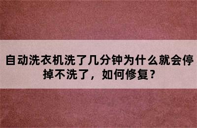 自动洗衣机洗了几分钟为什么就会停掉不洗了，如何修复？