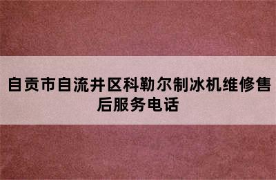 自贡市自流井区科勒尔制冰机维修售后服务电话